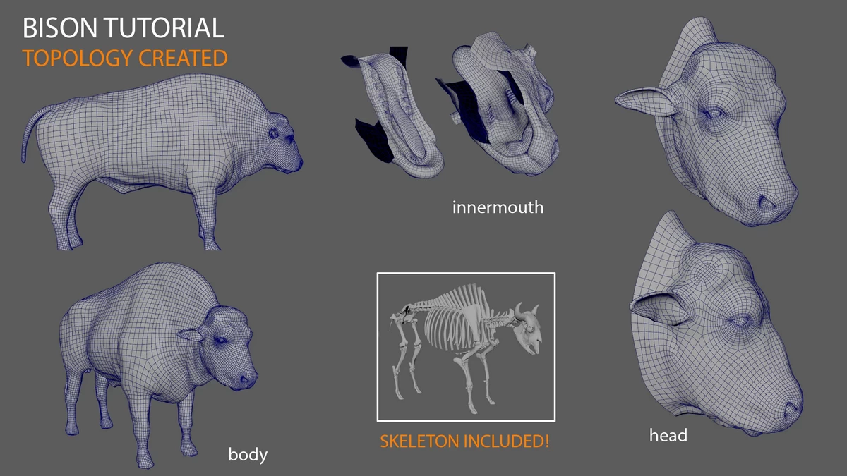 [中字][名家经典]zbrush及maya野牛教程