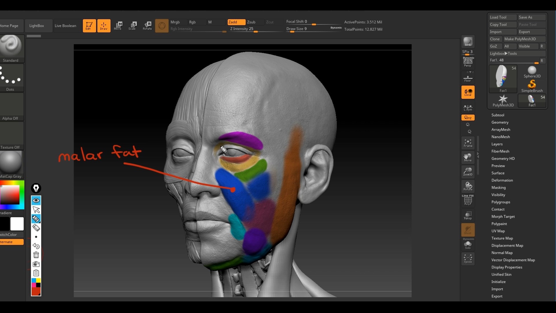 [国语-Corazon Bryant经典]Zbrush面部解剖和肖像人物雕刻