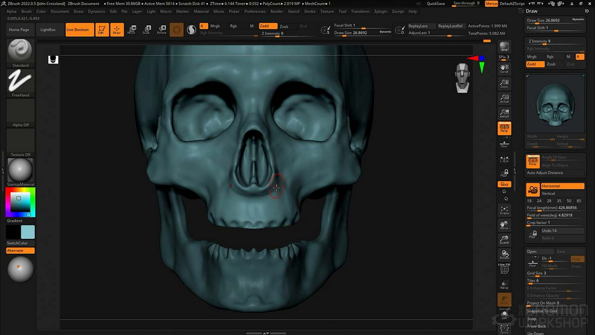 [国语-Gnomon经典系列]zbrush2022雕刻人类头骨