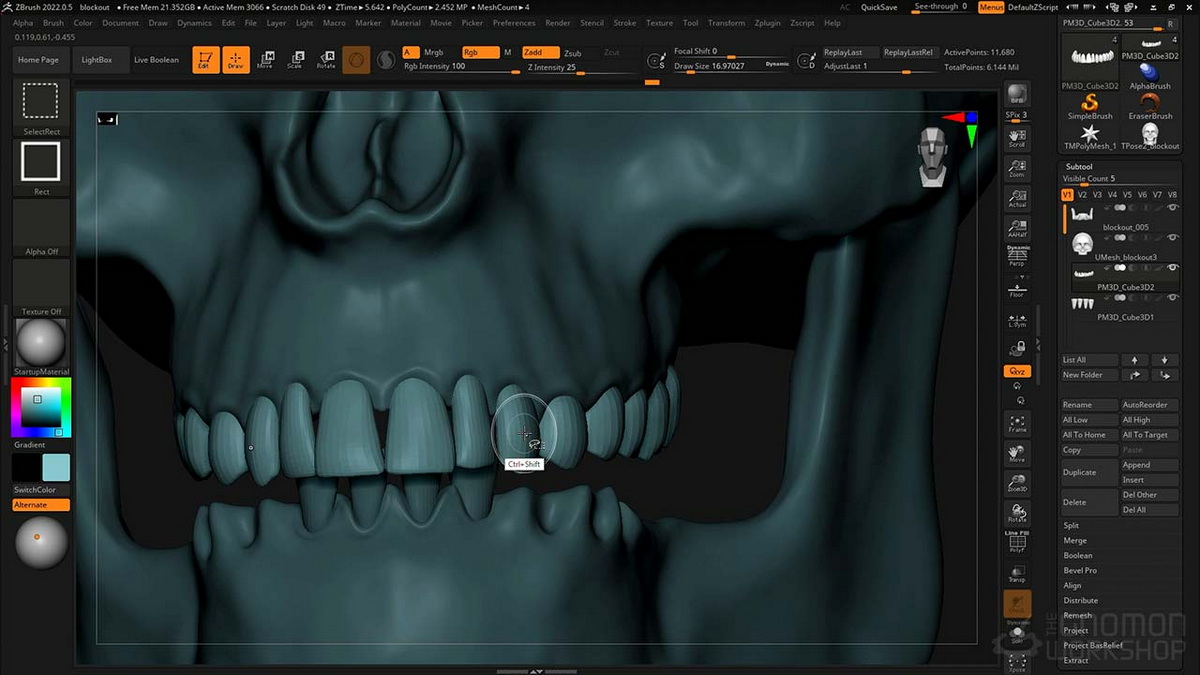 [国语-Gnomon经典系列]zbrush2022雕刻人类头骨