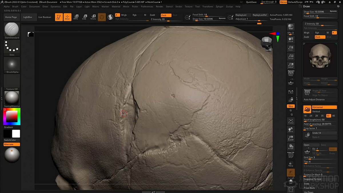 [国语-Gnomon经典系列]zbrush2022雕刻人类头骨