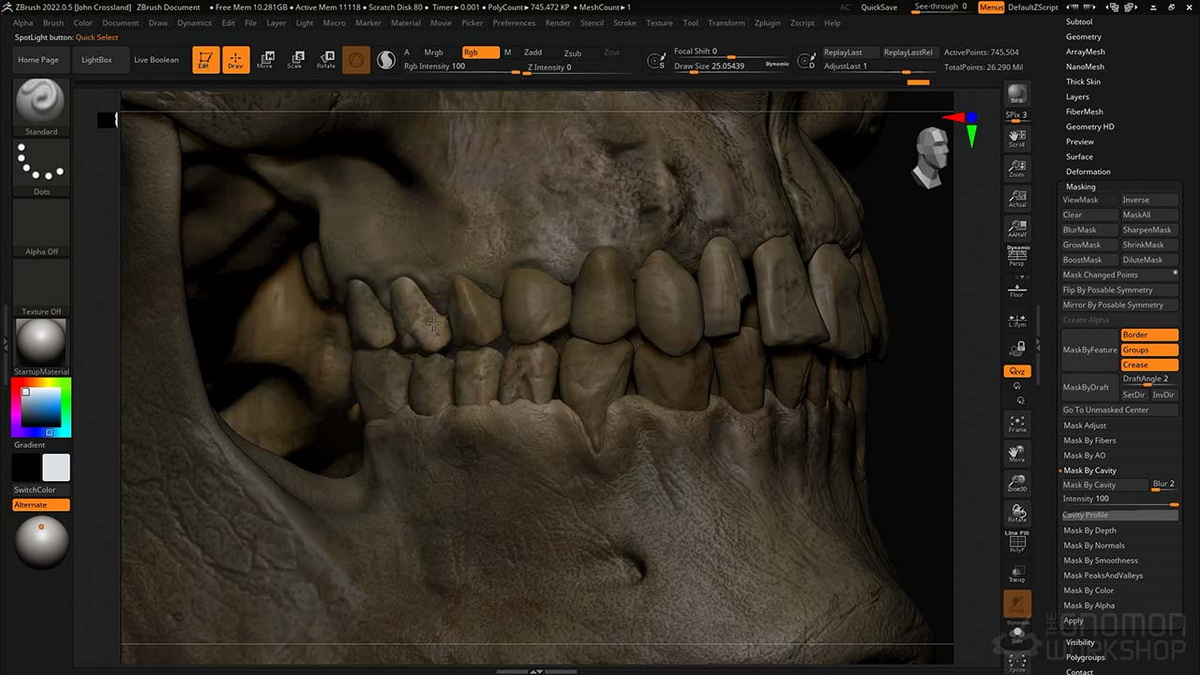 [国语-Gnomon经典系列]zbrush2022雕刻人类头骨