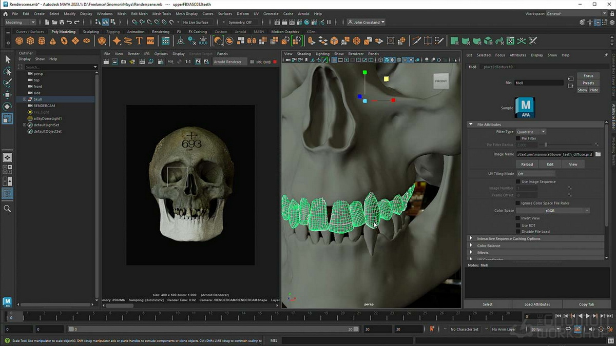 [国语-Gnomon经典系列]zbrush2022雕刻人类头骨