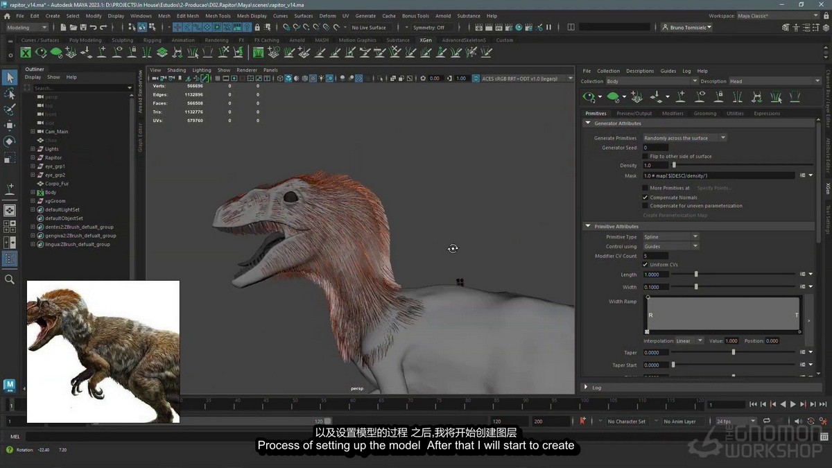 [国语-Gnomon经典]MAYA2023+Xgen+Arnold生物毛发基础