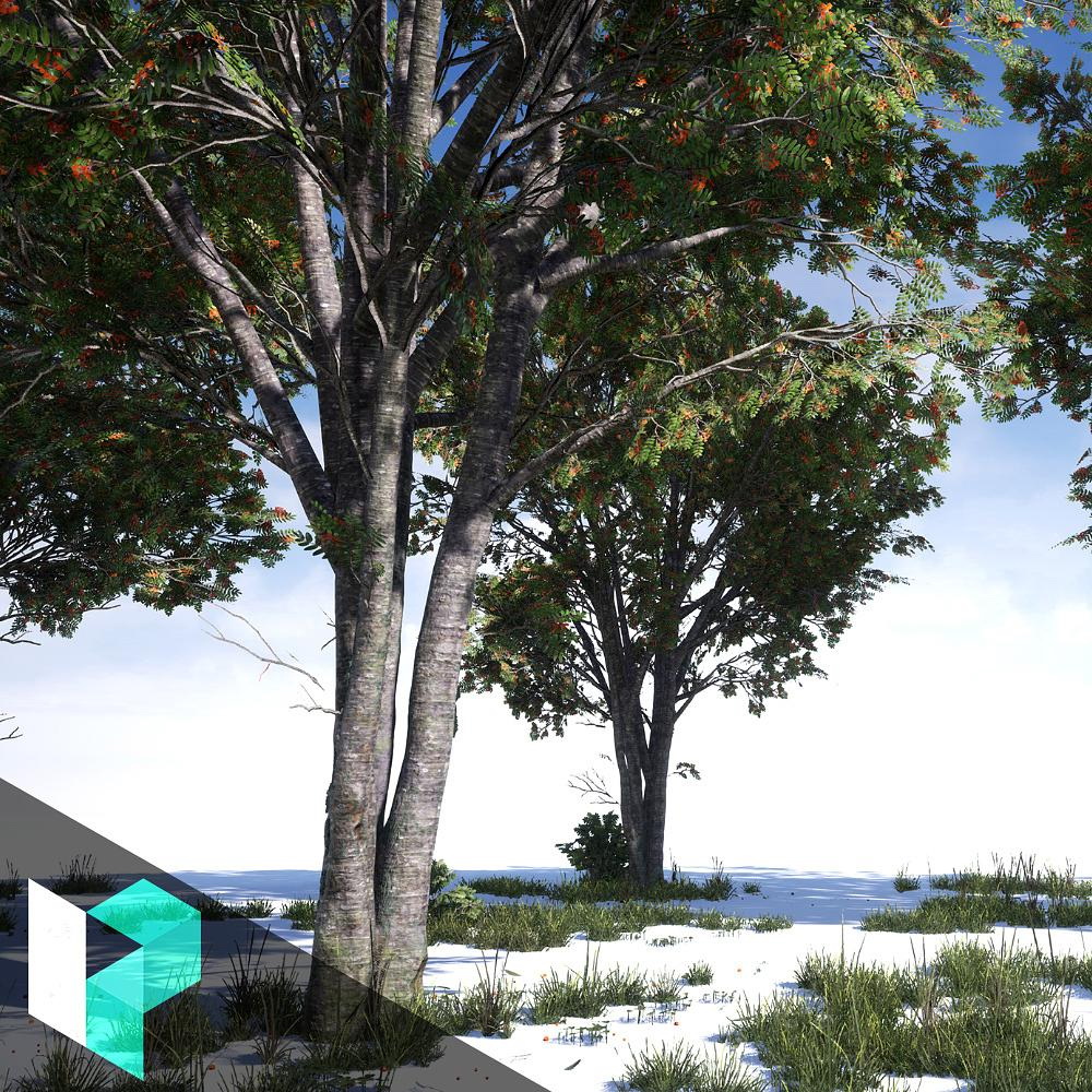 [国语-Simon Barle系列]maya2019为UE创建游戏用树木资产