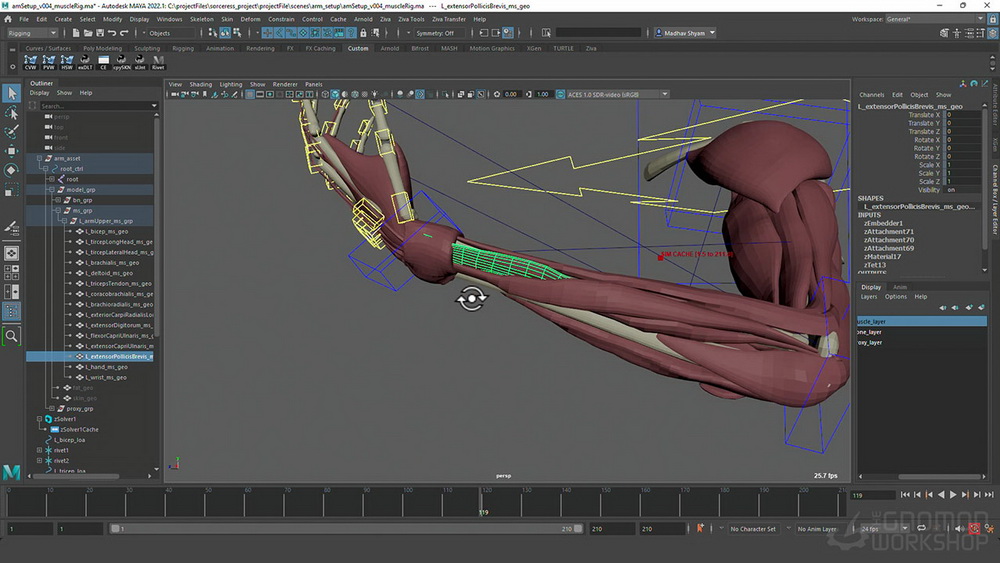 [gnomon学院-M.SHYAM-国语]maya+ZivaVFX肌肉特效系统-全两卷[更新]