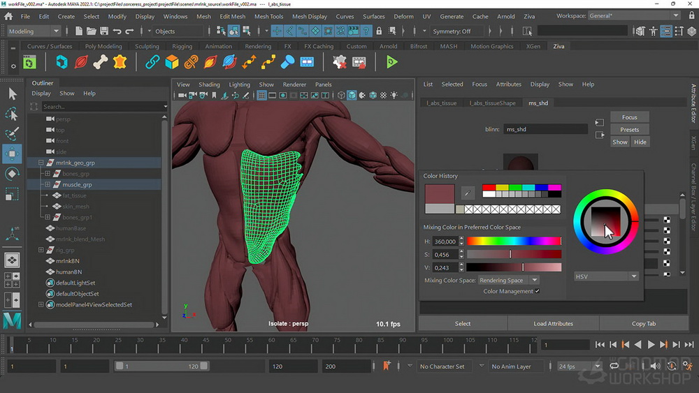 [gnomon学院-M.SHYAM-国语]maya+ZivaVFX肌肉特效系统-全两卷[更新]