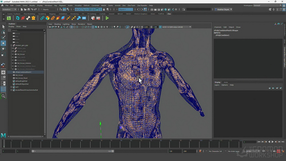 [gnomon学院-M.SHYAM-国语]maya+ZivaVFX肌肉特效系统-全两卷[更新]