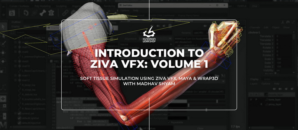 [gnomon学院-M.SHYAM-国语]maya+ZivaVFX肌肉特效系统-全两卷[更新]