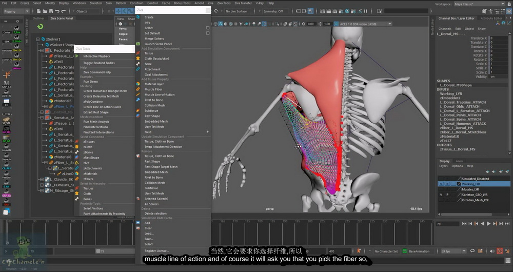 [cgcircuit学院-A.Abdelhamid-国语]maya ZIVA动力学完整指南2023