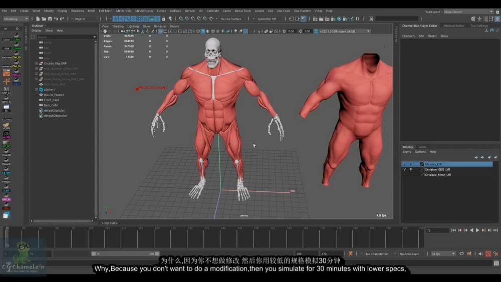 [cgcircuit学院-A.Abdelhamid-国语]maya ZIVA动力学完整指南2023