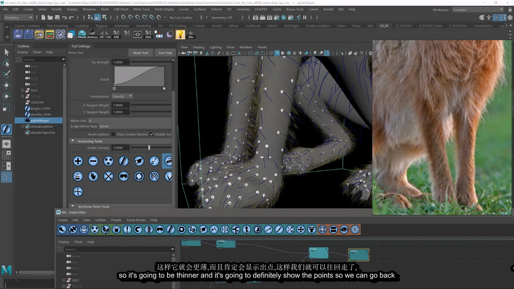 [ANTEPOST-国语]精通maya_yeti毛发技术2022