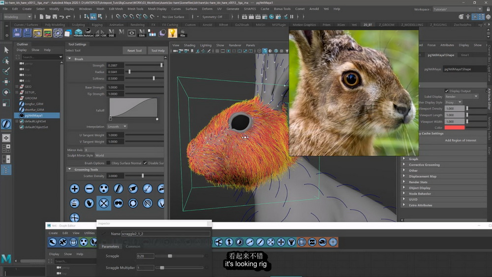 [ANTEPOST-国语]精通maya_yeti毛发技术2022