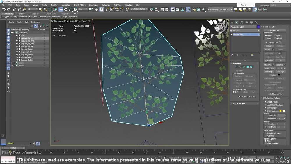 [artstation学院-M.Gerard-国语]UE+speedtree+3dsmax游戏中的植物基础2024