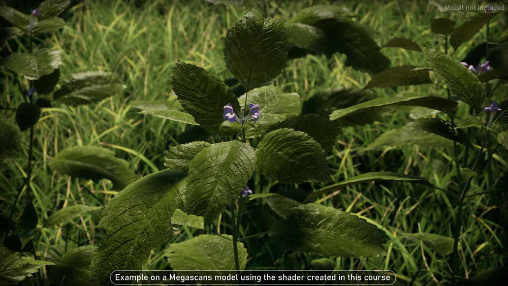 [artstation学院-M.Gerard-国语]UE5.2着色器系列教程：植被