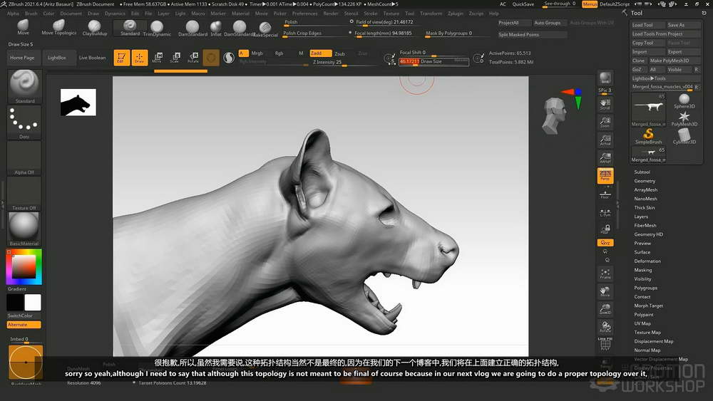 [gnomon学院-A.BASAURI-国语]zbrush2021+maya+mari动物解剖学：对FOSSA进行建模