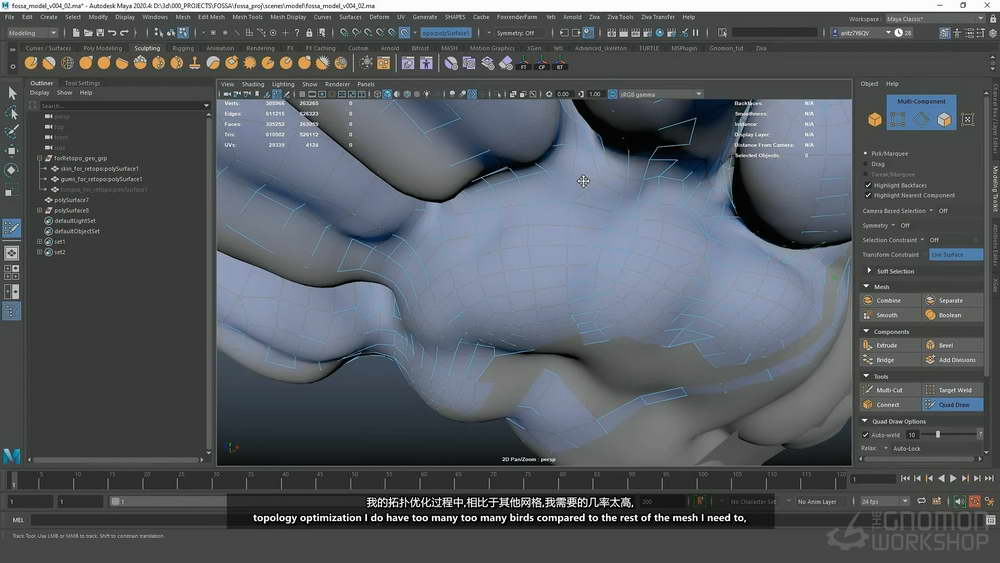 [gnomon学院-A.BASAURI-国语]zbrush2021+maya+mari动物解剖学：对FOSSA进行建模