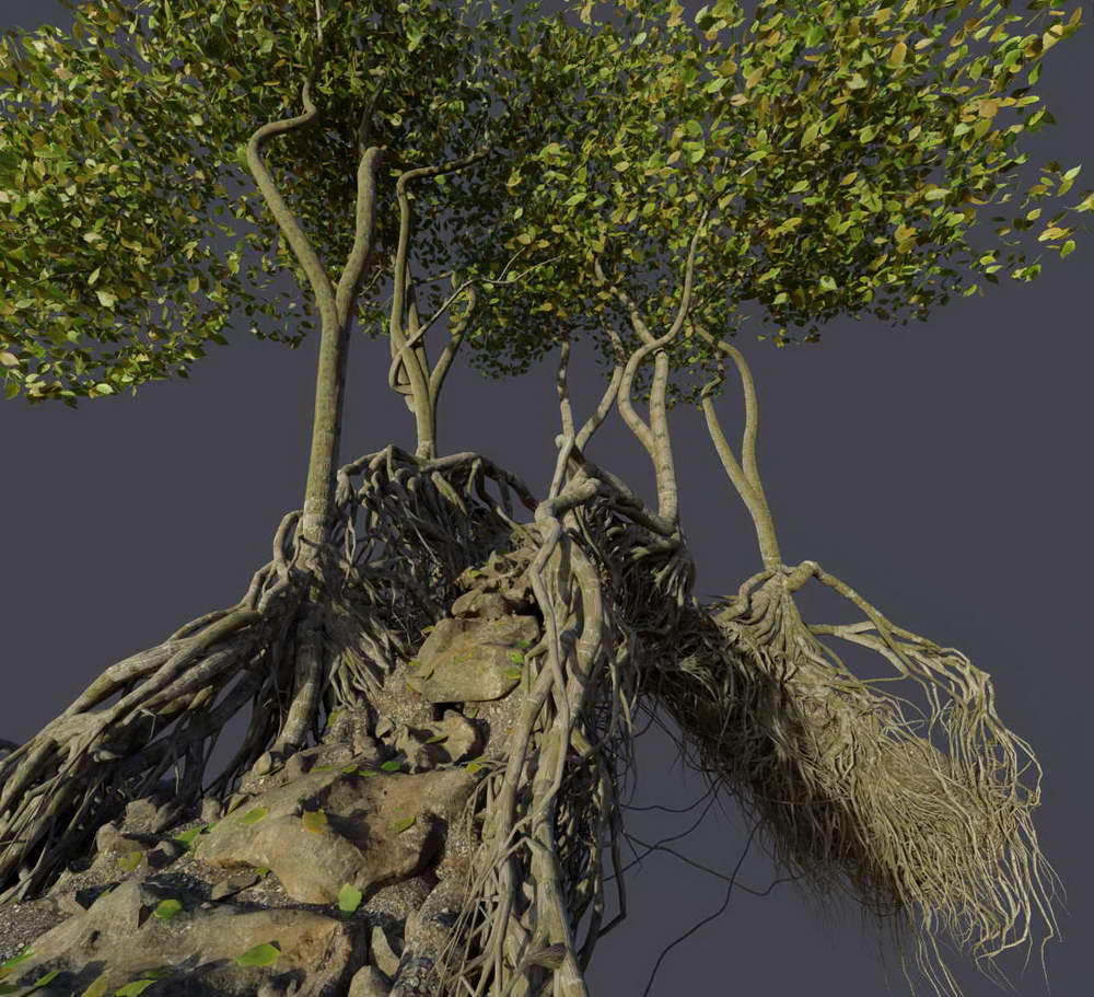 [blender market学院-E.Woodford-国语]Blender3.3的高级几何节点