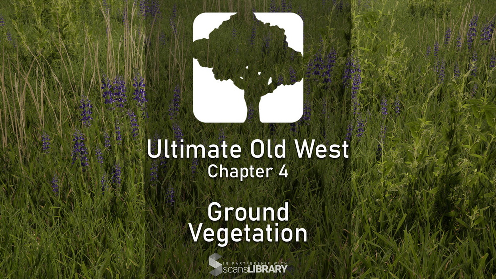 [名家系列-M.Gerard-国语]UE5+Speedtree+Quixel+Gaea写实场景系列-老西部环境