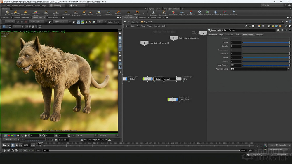 [gnomon学院-S.Esfehani-国语]Houdini20.0幻想生物毛发技术
