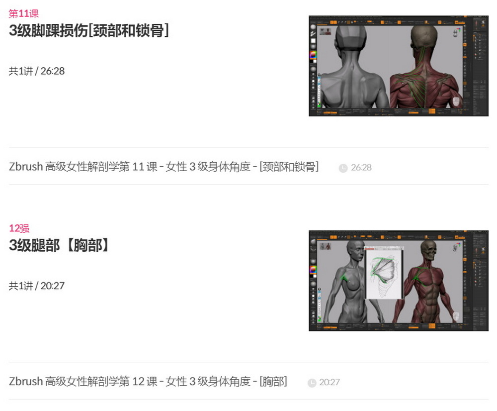 [cgbump学院-国语]Zbrush女性高级解剖学